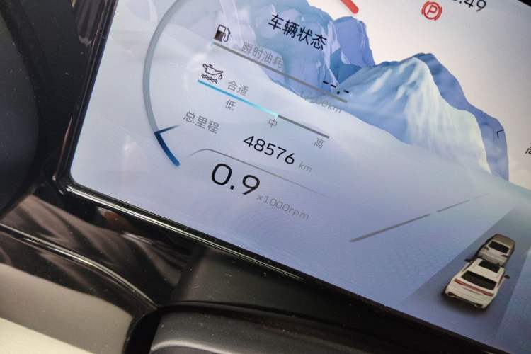 Used Geely Auto Monjaro L 2021 2.0TD DCT EVO Two-Wheel-Drive Flagship Version Odometer Close Up