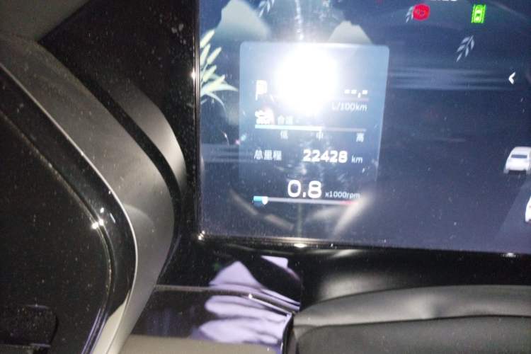Used Geely Auto Monjaro L 2021 2.0TD DCT EVO Two-Wheel Drive Prestige Version Odometer Close Up