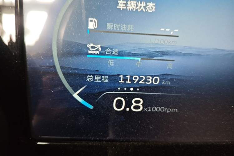 Used Geely Auto Monjaro L 2021 2.0TD DCT EVO Two-Wheel Drive Smart Luxury Version Odometer Close Up