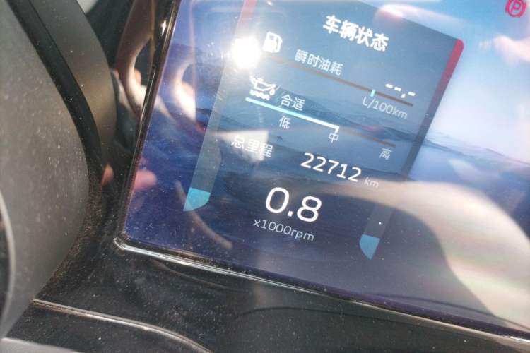 Used Geely Auto Monjaro L 2021 2.0TD DCT EVO Two-Wheel Drive Prestige Version Odometer Close Up