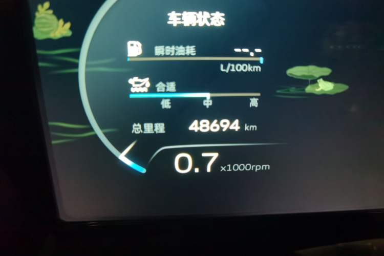 Used Geely Auto Monjaro L 2021 2.0TD DCT EVO Two-Wheel Drive Prestige Version Odometer Close Up