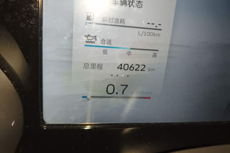 Used Geely Auto Monjaro L 2021 2.0TD DCT EVO Two-Wheel Drive Prestige Version Odometer Close Up