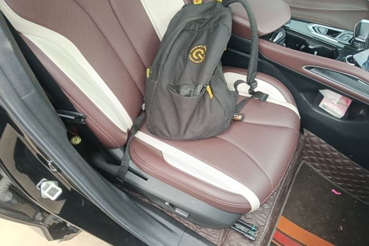 Used Geely Auto Monjaro L 2021 2.0TD DCT EVO Two-Wheel Drive Smart Luxury Version Right Front Seat