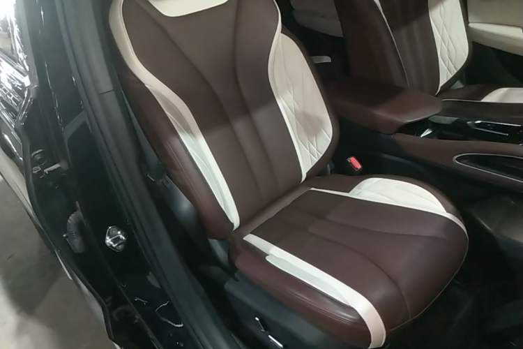 Used Geely Auto Monjaro L 2021 2.0TD DCT EVO Two-Wheel Drive Smart Luxury Version Right Front Seat