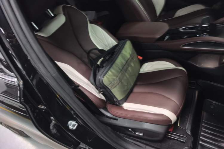 Used Geely Auto Monjaro L 2021 2.0TD High-Power Automatic All-Wheel-Drive Flagship Version Right Front Seat