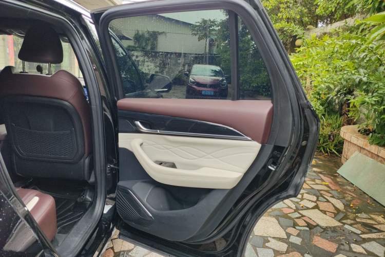 Used Geely Auto Monjaro L 2021 2.0TD DCT EVO Two-Wheel Drive Prestige Version Right Rear Door Interior