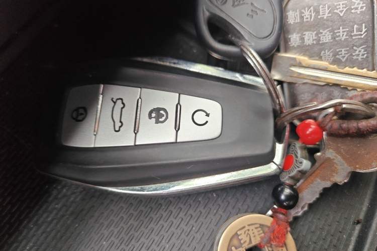 Used Geely Auto Monjaro L 2021 2.0TD DCT EVO Two-Wheel Drive Prestige Version Vehicle Key