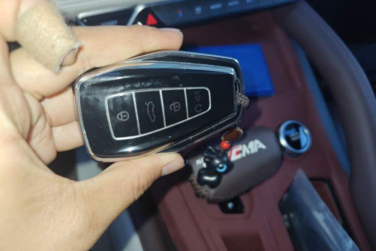 Used Geely Auto Monjaro L 2021 2.0TD DCT EVO Two-Wheel Drive Smart Luxury Version Vehicle Key