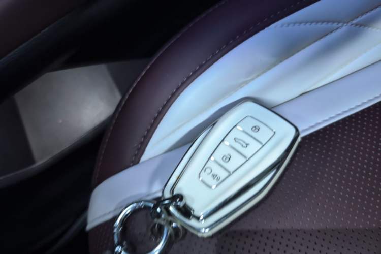 Used Geely Auto Monjaro L 2021 2.0TD High-Power Automatic All-Wheel-Drive Flagship Version Vehicle Key
