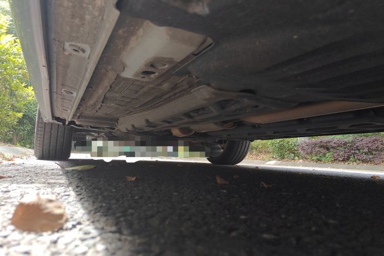 Used Geely Auto Monjaro L 2021 2.0TD DCT EVO Two-Wheel Drive Prestige Version Chassis Rear Left