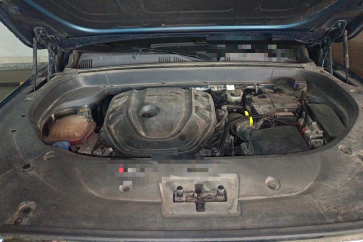 Used Geely Auto Monjaro L 2021 2.0TD DCT EVO Two-Wheel Drive Prestige Version Engine Bay