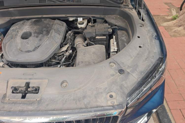 Used Geely Auto Monjaro L 2021 2.0TD DCT EVO Two-Wheel Drive Prestige Version Engine Bay Left