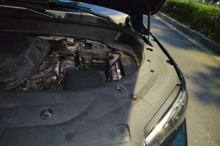 Used Geely Auto Monjaro L 2021 2.0TD DCT EVO Two-Wheel Drive Smart Luxury Version Engine Bay Left