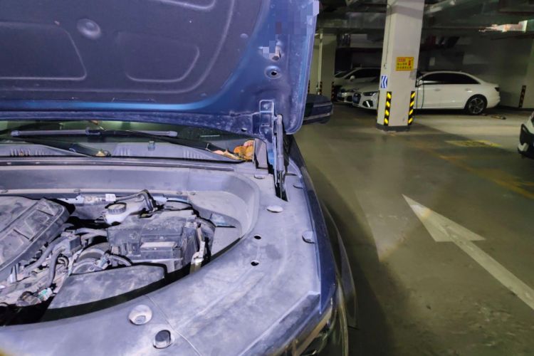 Used Geely Auto Monjaro L 2021 2.0TD DCT EVO Two-Wheel-Drive Flagship Version Engine Bay Left