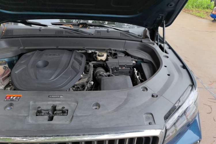 Used Geely Auto Monjaro L 2021 2.0TD High-Power Automatic All-Wheel-Drive Flagship Version Engine Bay Left