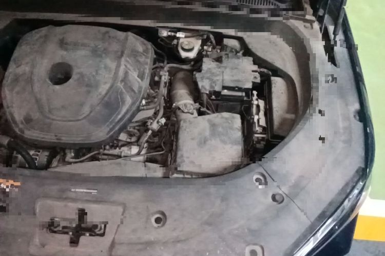 Used Geely Auto Monjaro L 2021 2.0TD High-Power Automatic All-Wheel-Drive Flagship Version Engine Bay Left