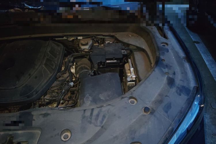 Used Geely Auto Monjaro L 2021 2.0TD DCT EVO Two-Wheel Drive Prestige Version Engine Bay Left