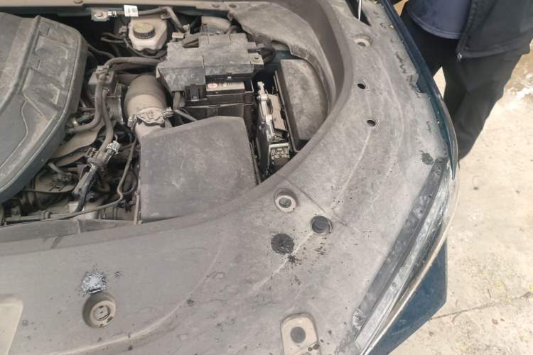Used Geely Auto Monjaro L 2021 2.0TD High-Power Automatic All-Wheel-Drive Flagship Version Engine Bay Left