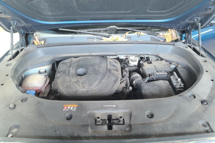 Used Geely Auto Monjaro L 2021 2.0TD DCT EVO Two-Wheel Drive Prestige Version Engine Bay