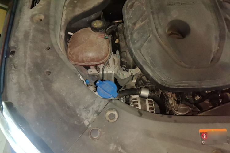Used Geely Auto Monjaro L 2021 2.0TD DCT EVO Two-Wheel-Drive Flagship Version Engine Bay Right