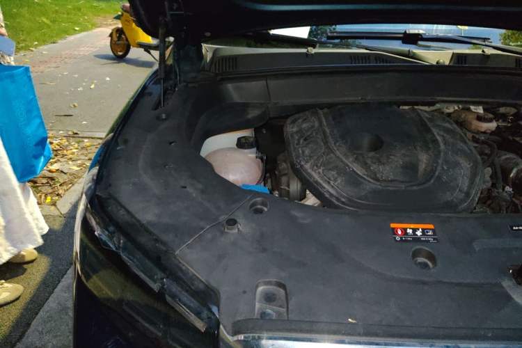Used Geely Auto Monjaro L 2021 2.0TD DCT EVO Two-Wheel Drive Smart Luxury Version Engine Bay Right