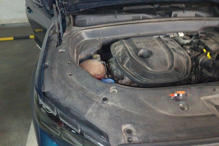 Used Geely Auto Monjaro L 2021 2.0TD DCT EVO Two-Wheel Drive Prestige Version Engine Bay Right