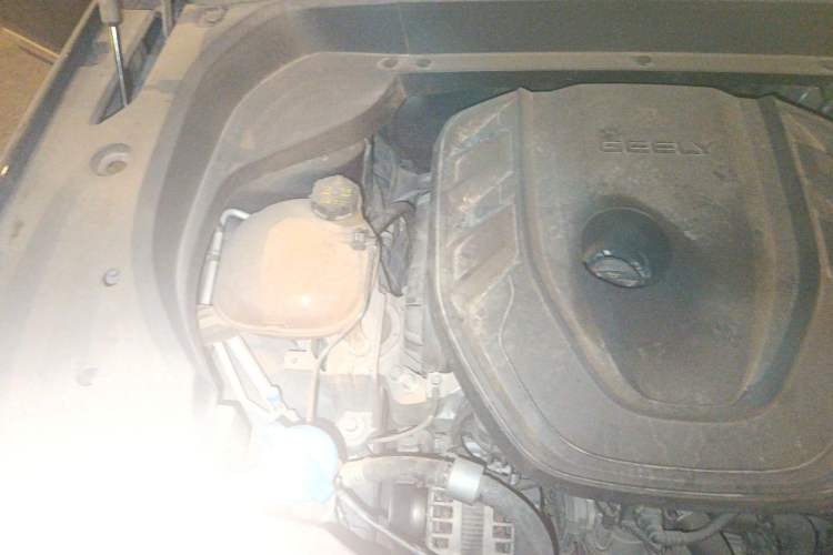 Used Geely Auto Monjaro L 2021 2.0TD DCT EVO Two-Wheel Drive Prestige Version Engine Bay Right
