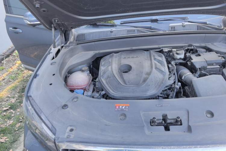 Used Geely Auto Monjaro L 2021 2.0TD DCT EVO Two-Wheel Drive Prestige Version Engine Bay Right
