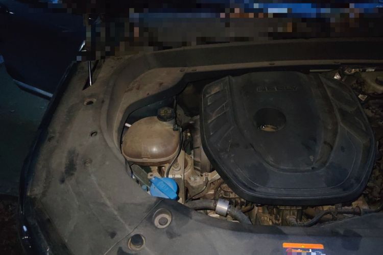 Used Geely Auto Monjaro L 2021 2.0TD DCT EVO Two-Wheel Drive Prestige Version Engine Bay Right