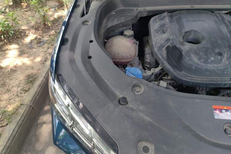 Used Geely Auto Monjaro L 2021 2.0TD DCT EVO Two-Wheel Drive Prestige Version Engine Bay Right
