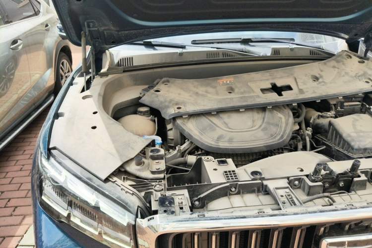 Used Geely Auto Monjaro L 2021 2.0TD High-Power Automatic All-Wheel Drive Luxury Version Engine Bay Right