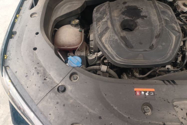 Used Geely Auto Monjaro L 2021 2.0TD High-Power Automatic All-Wheel-Drive Flagship Version Engine Bay Right