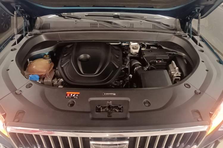Used Geely Auto Monjaro L 2021 2.0TD DCT EVO Two-Wheel-Drive Flagship Version Engine Bay