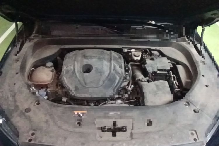 Used Geely Auto Monjaro L 2021 2.0TD High-Power Automatic All-Wheel-Drive Flagship Version Engine Bay