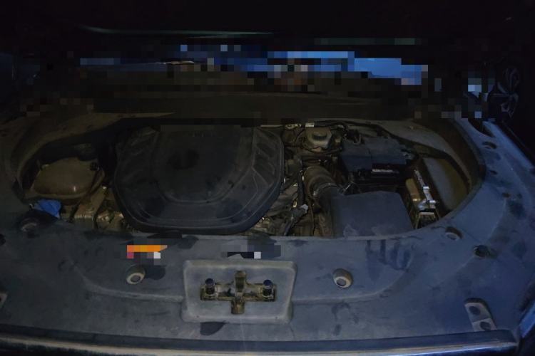 Used Geely Auto Monjaro L 2021 2.0TD DCT EVO Two-Wheel Drive Prestige Version Engine Bay