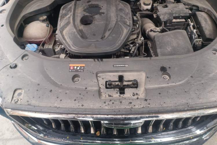 Used Geely Auto Monjaro L 2021 2.0TD High-Power Automatic All-Wheel-Drive Flagship Version Engine Bay