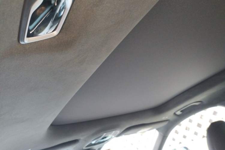 Used Geely Auto Monjaro L 2021 2.0TD DCT EVO Two-Wheel Drive Smart Luxury Version Headliner