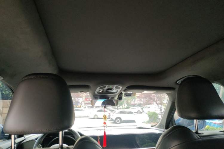 Used Geely Auto Monjaro L 2021 2.0TD DCT EVO Two-Wheel Drive Prestige Version Headliner