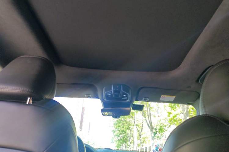 Used Geely Auto Monjaro L 2021 2.0TD DCT EVO Two-Wheel Drive Prestige Version Headliner