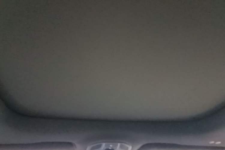 Used Geely Auto Monjaro L 2021 2.0TD DCT EVO Two-Wheel Drive Smart Luxury Version Headliner