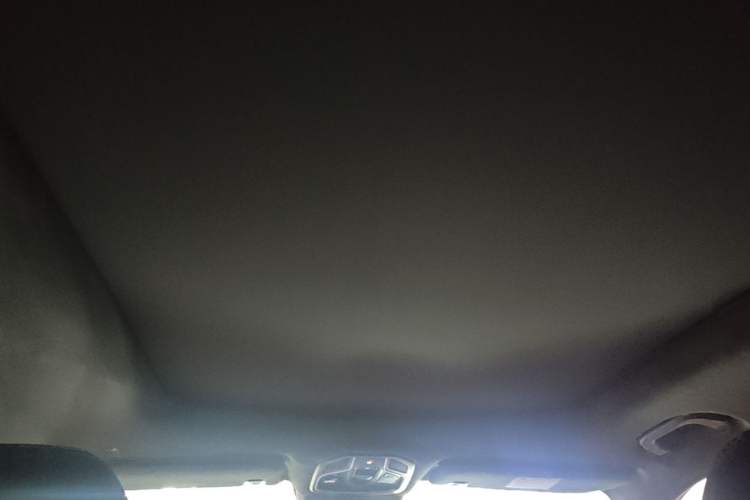 Used Geely Auto Monjaro L 2021 2.0TD DCT EVO Two-Wheel Drive Prestige Version Headliner