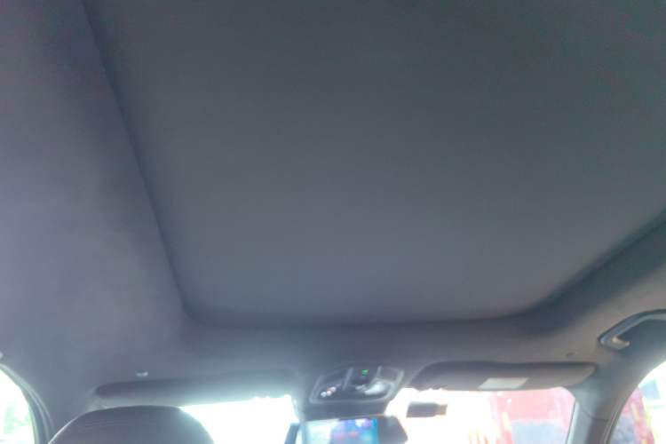 Used Geely Auto Monjaro L 2021 2.0TD DCT EVO Two-Wheel Drive Prestige Version Headliner