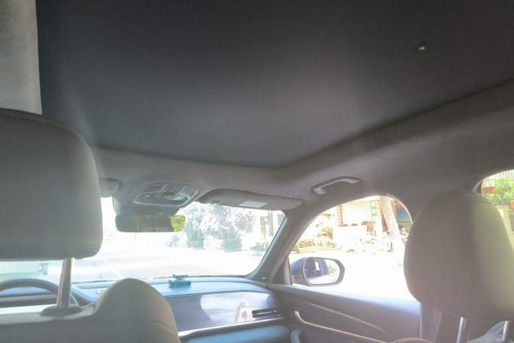 Used Geely Auto Monjaro L 2021 2.0TD DCT EVO Two-Wheel Drive Smart Luxury Version Headliner