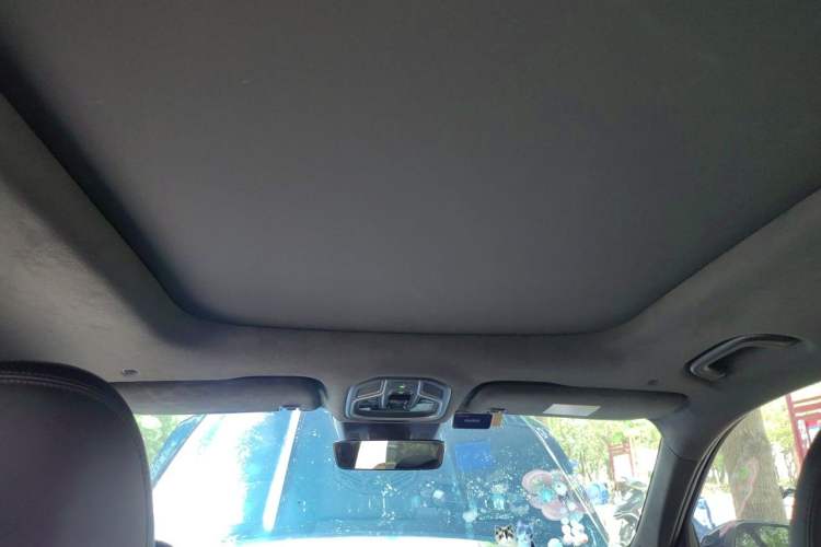 Used Geely Auto Monjaro L 2021 2.0TD DCT EVO Two-Wheel Drive Prestige Version Headliner