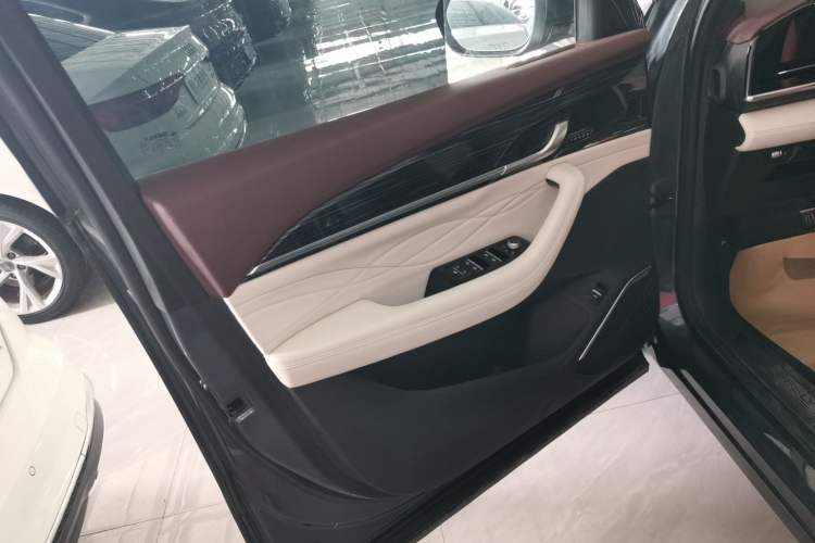Used Geely Auto Monjaro L 2021 2.0TD DCT EVO Two-Wheel Drive Prestige Version Left Front Door Interior