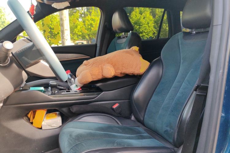 Used Geely Auto Monjaro L 2021 2.0TD DCT EVO Two-Wheel Drive Smart Luxury Version Left Front Seat