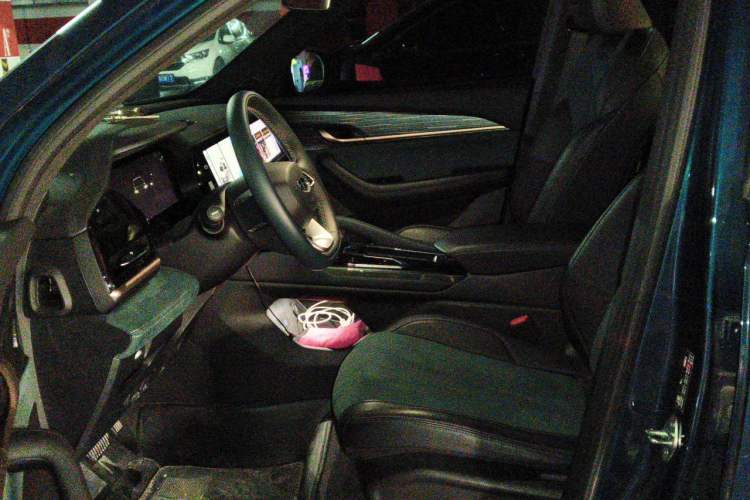 Used Geely Auto Monjaro L 2021 2.0TD High-Power Automatic All-Wheel Drive Luxury Version Left Front Seat