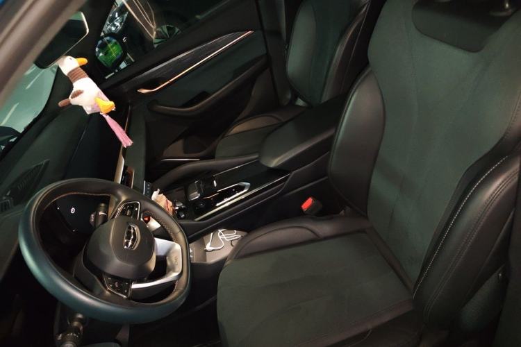 Used Geely Auto Monjaro L 2021 2.0TD DCT EVO Two-Wheel Drive Prestige Version Left Front Seat
