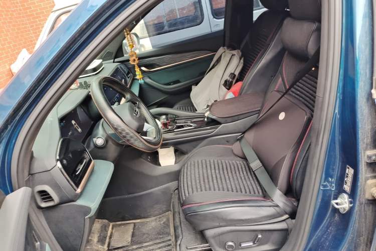 Used Geely Auto Monjaro L 2021 2.0TD DCT EVO Two-Wheel Drive Smart Luxury Version Left Front Seat