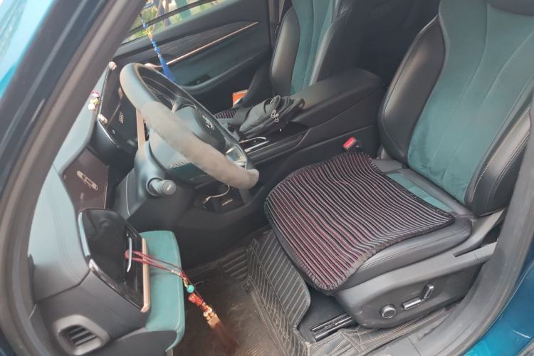 Used Geely Auto Monjaro L 2021 2.0TD DCT EVO Two-Wheel Drive Smart Luxury Version Left Front Seat